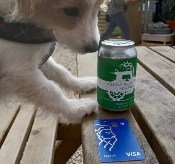 Cryptobel
